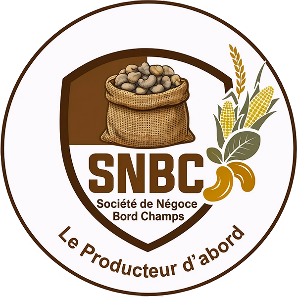 SNBC Logo